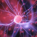 Understanding Diabetes Disease Process